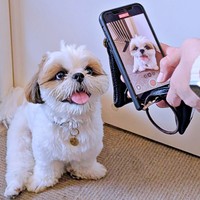 大好きなお友だちにファンサするズシくん（画像提供：シーズーのズシさん）