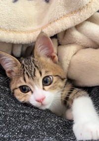 忙しい日々でも、ラオくんとのスキンシップタイムはしっかり確保