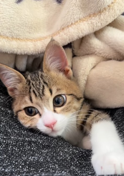 忙しい日々でも、ラオくんとのスキンシップタイムはしっかり確保