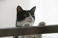 執務中のロイ常務（画像提供：三協精器）