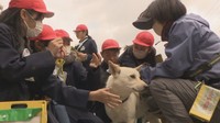 小学生が保護犬と触れ合い　命の大切さや飼育する責任を学ぶ　岡山市が体験の授業