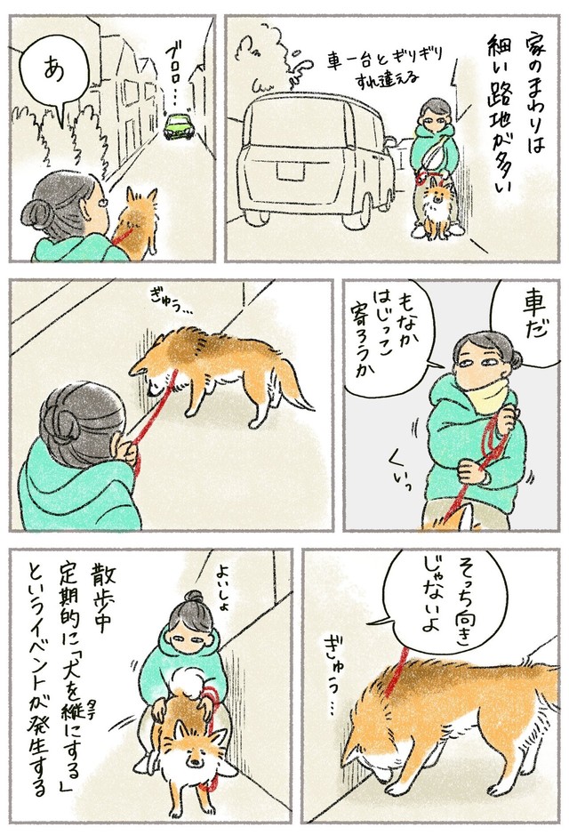 犬の方向を整える(さかぐちまやさん提供）