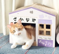 「さかなや」さんになったミミちゃん（画像提供：neko好きさん）