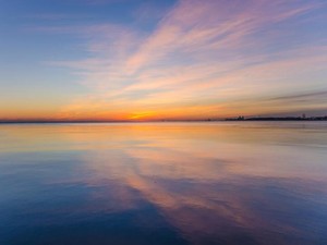 「どうせ嫌われてるんだから」。お笑いタレントの強さで気づいたこと