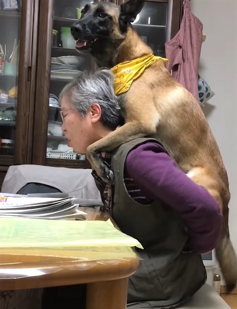 甘えん坊のウルルです」おばあちゃんにおんぶをせがむ犬が話題