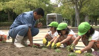 高校生が育てたポーチュラカ　園児と一緒に公園の花壇植え替え　高松市