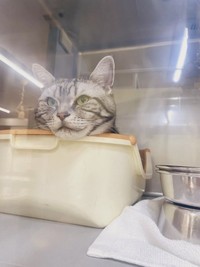 ICUに入院中。面会に行くたび、そばを離れたくなくなった