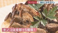 5種きのこのフォカッチャ　475円