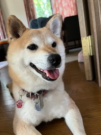 愛らしい笑顔で家族をメロメロにする桃ちゃん（画像提供：2代目マサイノセンシ1026（Ver1.25）さん）