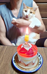 お祝いのごちそうを前に飼い主さんに抱っこされる美晴ちゃん（画像提供：Atsusi_Miharuさん）