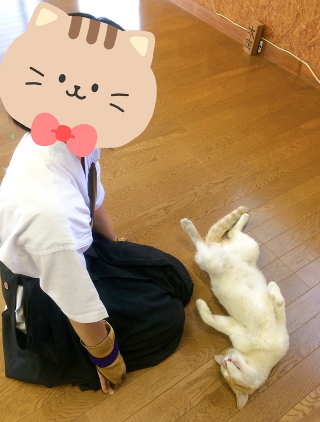 弓道着姿の女子を目の前にお腹を見せるヘソ天寝の野良猫さんがXで話題に（ハナさん提供）