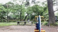 逃げられてしまいました。 ※人生いちかパチかさんのX動画より抜粋