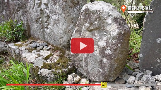 #295丸森町 猫神さま探し⑤