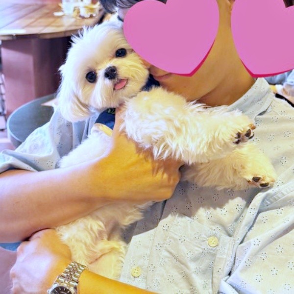 パパに溺愛されるまるくん（画像提供：全部犬のせいさん）