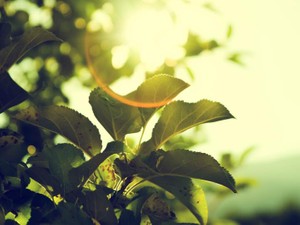 唐突に「結婚しよう」と言われ、涙が出た。でもそれは嬉し涙ではなかった