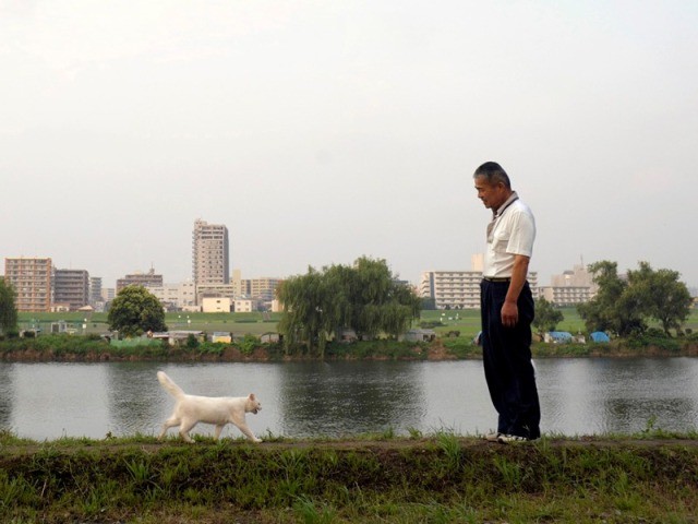 河川敷に餌をもらいに来ていた白猫「シロ」 ふたりのおじさんに愛され