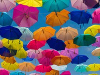 雨の日だけ現れる、私だけの色の空。お気に入りの傘で乗り切る梅雨