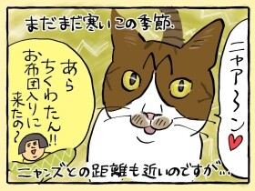 恐怖…！　猫バチバチ女、あらわる