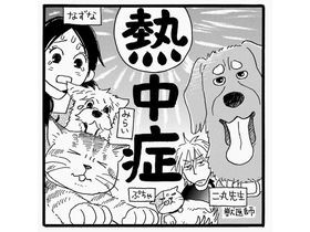 犬や猫も熱中症になる？　おしえて！しっぽ情報局vol.34