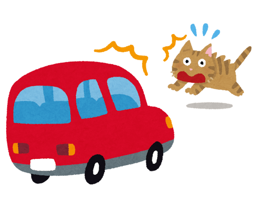 猫は行動の特性上、交通事故に遭いやすい動物だという