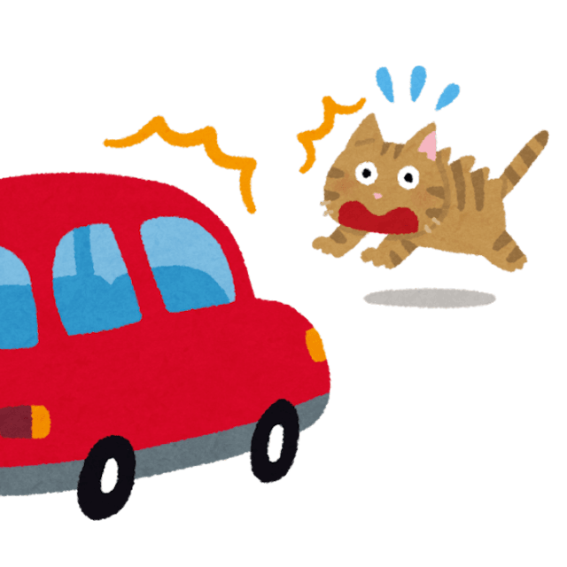 猫は行動の特性上、交通事故に遭いやすい動物だという