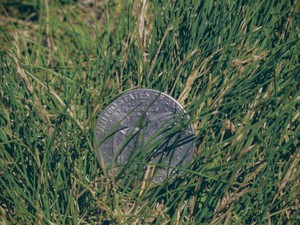 本当にやりたい仕事を見つけるために、お金と経験を蓄える