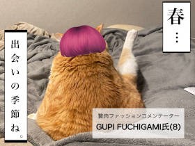 出会いの春　第一印象がよくなる方法を、辛口評論猫「グピ・フチガミ氏」が指南