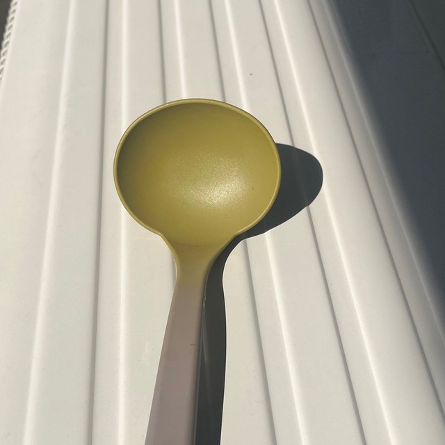 カレーの色味が染み込み変わり果てたおたま（提供：こもんさん）