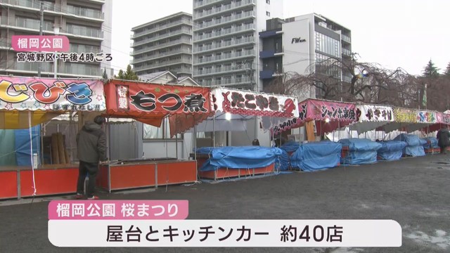 仙台市の桜の名所　榴岡公園で一足早く桜まつりが始まる