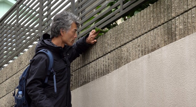 迷子捜しでは観察と情報収集が大切