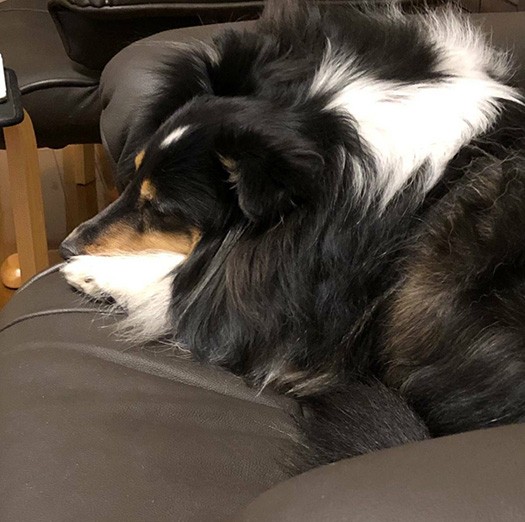 ソファの肘あるある（ＣＡＰＰチーム提供）