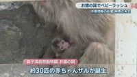 銚子渓自然動物園 お猿の国　香川・土庄町　12日