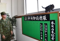 陸上自衛隊宇都宮駐屯地の中央即応連隊を表敬する羊子ちゃん／自衛隊栃木地方協力本部 公式X（@tochigi_pco）