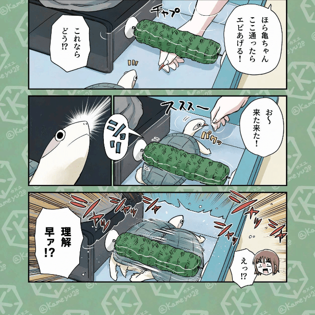 【漫画】『セルフ掃除への道①〜④』3（カメユさん提供）