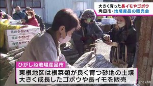 大きな長イモやゴボウ並ぶ　地場産品の販売会　宮城・角田市