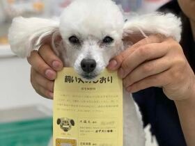 本当に怖い狂犬病、発症すると致死率ほぼ100％　愛犬にワクチン接種を