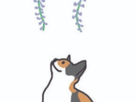 人とペットの「共生」とは　札幌市条例に見る光明