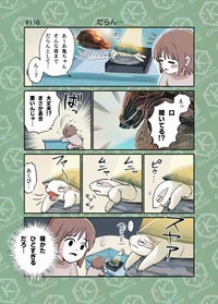 【漫画】『「亀飼いしか知らない世界」な4コマまとめ。』10（カメユさん提供）