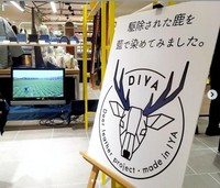 蔦哲一朗氏が立ち上げたプロジェクトのＰＲ看板、テレビ画面には藍畑が。（Ｃ）ＤＩＹＡ