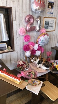 21歳の誕生日は盛大にお祝い