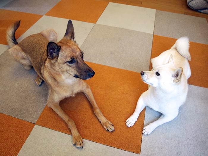 「早く撮影終わらないかなー」「ねー」