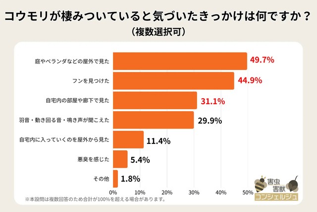 コウモリが棲みついていると気づいたきっかけは何ですか？（提供画像）