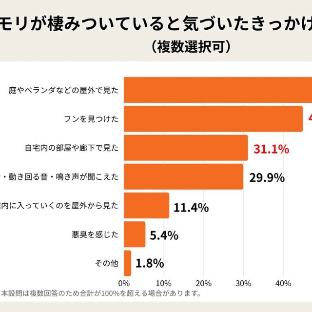 コウモリが棲みついていると気づいたきっかけは何ですか？（提供画像）
