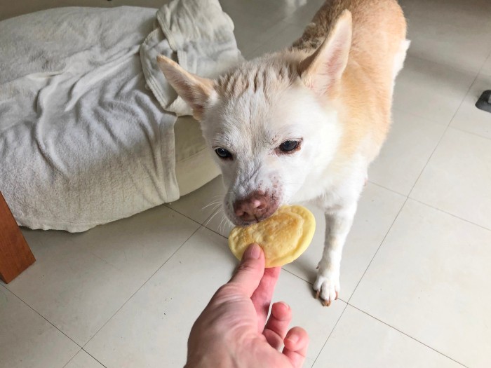 いっただきまーす！