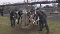 桜が咲く景色を未来へ　伊藤園が桜の植樹活動　高松市