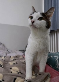 2026年3月3日に20歳の誕生日を迎えた、しーちゃん