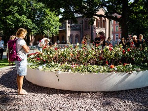 10年前の連続テロ、政治のカードに　「事件を教訓に」と言えないノルウェー