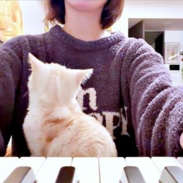 ピアノを弾く飼い主さんの膝上に座るうにくん（画像提供：こぴさん）