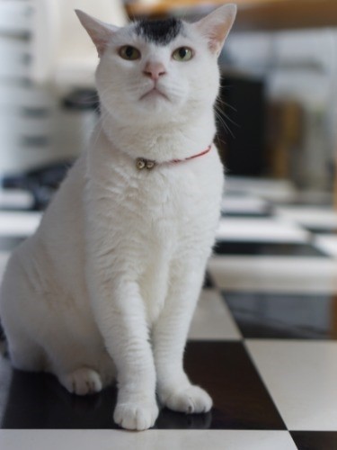 そして俺はビックになった