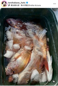 葉加瀬太郎インスタグラム＠tarohakase_hatsより